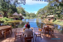 Solo Safari Punya Bengawan Floating Resto, Pengunjung Bisa Beri Makan Pelikan
