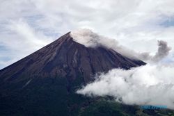 Status Level Siaga, Gunung Semeru Alami 12 Kali Gempa Letusan