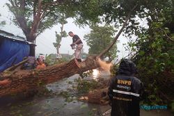 Cuaca Ekstrem, Pohon Tumbang dan Banjir Landa Ngemplak Boyolali