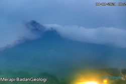 Gunung Merapi Semburkan Awan Panas Guguran Sejauh 1,8 kilometer