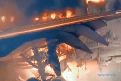 Pramugari Sigap! Pesawat Jepang JAL Terbakar, 367 Penumpang Berhasil Selamat