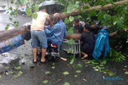 Hujan dan Angin Kencang Terjang Kota Solo, Belasan Pohon Tumbang