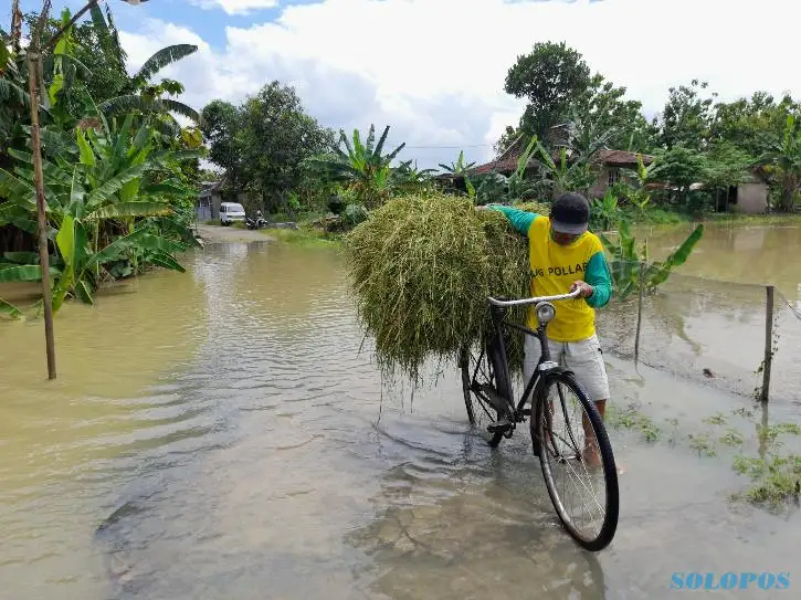 Waspada Banjir, Sragen Hari Ini Diprakirakan Hujan Lebat Disertai Petir