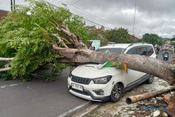Angin Kencang Sapu Karanganyar, Ada Mobil Tertimpa Pohon di Jumantono 