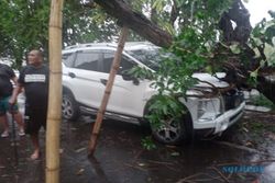 Breaking News! Hujan Angin Tumbangkan Pohon di Sejumlah Wilayah Sukoharjo
