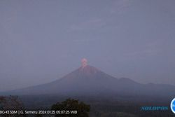 Pagi Ini, Erupsi Gunung Semeru Lontarkan Abu Vulkanik Setinggi 900 Meter