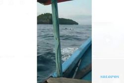 Viral Mayat Pria Terapung di Laut Trenggalek, Petugas: Belum Ditemukan