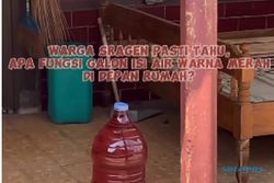 Viral di Sragen, Menguji Kebenaran Air Merah Bisa Mengusir Ayam atau Tidak