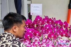 Jokowi Kirim Buket Bunga Anggrek Ucapan Selamat Ultah ke Ketum PDIP Megawati