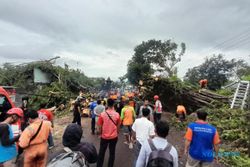 Butuh 3 Jam, Evakuasi Pohon Tumbang Timpa Minibus di Wonogiri Akhirnya Kelar