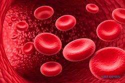 Golongan Darah P Ditemukan di Cina