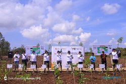 Turut Menjaga Kelestarian Alam, LPS Tanam 10.000 Bibit Mangrove di Cilacap