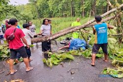 Tertimpa Pohon dan Tersengat Listrik, Pengendara Motor di Ngawi Meninggal