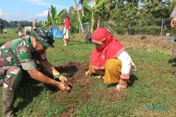Sinergi Pemilu Damai, TNI-Polri Tanam 450 Pohon di Pinggir Waduk Bade Boyolali