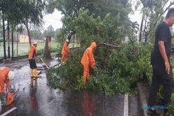 Hujan Angin, Pohon Tumbang Sempat Bikin Akses Solo-Karanganyar Tersendat