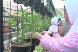 BRInita Sukses Jadikan Padjajaran Bandung Jadi Percontohan Urban Farming