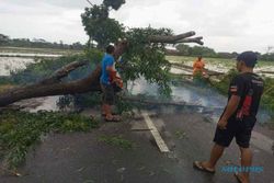 Hujan Angin, Pohon Ambruk Timpa Mobil di Tawangsari Sukoharjo