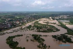 Petani Merana, 4.194 Hektare Lahan di Grobogan Terendam Banjir