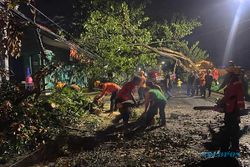Hujan Deras Disertai Angin Kencang dan Petir Landa Solo, Sejumlah Pohon Tumbang