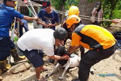 Kambing di Sragen Tercebur Sumur, Petugas Sempat Kejatuhan Bata Saat Evakuasi