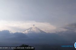 Gunung Semeru Dua Kali Erupsi pada Jumat Sore, Letusan Setinggi 700 Meter