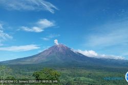 Gunung Semeru Erupsi Lagi pada Selasa Sore, Ketinggian Letusan Capi 1 Kilometer