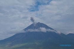 Gunung Semeru Kembali Erupsi, Letusan Capai 600-800 Meter