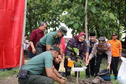 Sehari, Bupati Sragen Bagikan Ribuan Bibit Pohon Petai di 7 Kecamatan
