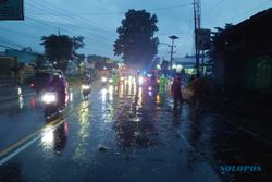 Pengendara Motor Tertimpa Pohon Tumbang saat Hujan Deras di Winong Boyolali