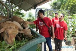 Pelaku UMKM dan Milenial Belajar Industri Hijau di Semen Gresik Pabrik Rembang