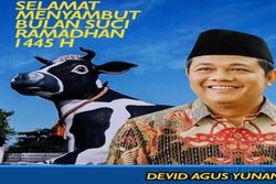 Eks Ajudan Jokowi Disebut-Sebut Maju Cabup Boyolali di Pilkada 2024