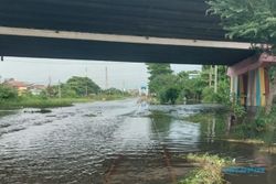 Daftar Kereta yang Batal Berangkat akibat Rel Masih Terendam Banjir di Semarang
