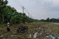 Kini Petani di 13 Kecamatan di Sragen Bisa Tebus Pupuk Subsidi dengan KTP