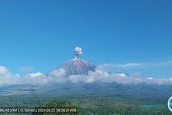 Sabtu Pagi, Gunung Semeru Erupsi Tiga Kali dalam Tiga Jam