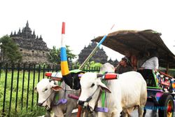 Anugerah Desa Wisata Indonesia 2024 Diluncurkan, Begini Cara Daftarnya