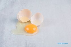 Arti Mimpi Telur Pecah Pertanda Apa? Ini Penjelasannya