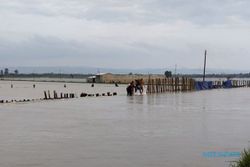 Banjir di Demak Kian Meluas, 44 Desa Terdampak