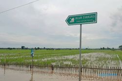 Pemkab Ngawi Catat 20 Hektare Sawah Terdampak Banjir Ajukan Klaim Asuransi