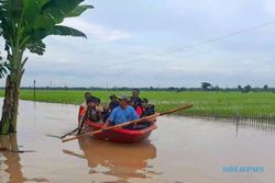 1.393 Ha Sawah di Ngawi Terancam Puso karena Banjir, Petani Bisa Klaim Asuransi