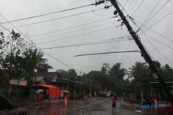 Hujan Angin Sapu 4 Kecamatan di Klaten, Rumah Rusak hingga Tiang Listrik Roboh