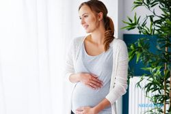Awas! Kena DBD selama Kehamilan Pengaruhi Kesehatan Bayi di 3 Tahun Pertama