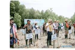 PLN Tanam Ribuan Mangrove Guna Rehabilitasi Pesisir Tanah Merah & Menipo di NTT