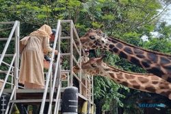 Minggu, Kebun Binatang Surabaya Diprediksi Capai Puncak Kunjungan Libur Lebaran