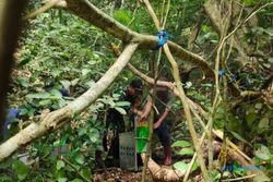 Puluhan Satwa Dilindungi Dilepas di Pulau Terluar Jember