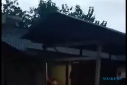 Senin Petang, Banjir Bandang Terjang Puluhan Rumah di Pilangkenceng Madiun