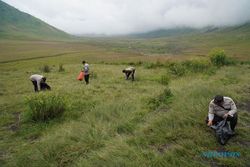 BB TNBTS Tutup Aktivitas Wisata Gunung Bromo untuk Pembersihan Kawasan