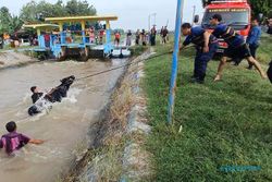Damkar Sragen Evakuasi Sapi Limosin Betina yang Tercebur di Dam Colo Timur