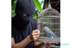 Curi Burung Warga Sragen, Pemuda Asal Karanganyar Divonis Percobaan 2 Bulan