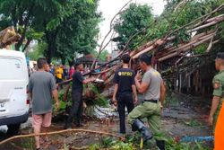 Akibat Hujan Deras Disertai Angin, Sebanyak 32 Pohon Tumbang di Solo