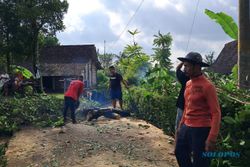 Puting Beliung Terjang 2 Desa di Ampel Boyolali, Pasar dan Puluhan Rumah Rusak